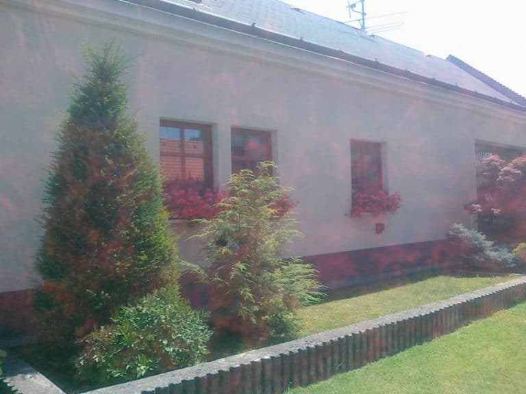Záhradná výsadba s okrasnými stromami a kríkmi pri rodinnom dome.